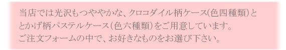ケース説明