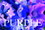 紫色で選ぶブライダル印鑑