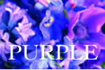 紫色で選ぶジュエリー印鑑