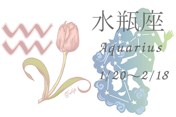 水瓶座
