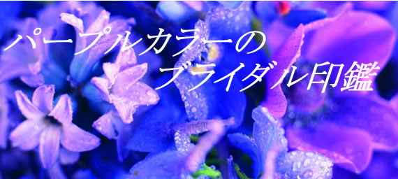 p[vJ[̃uC_