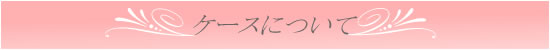 ケースについて