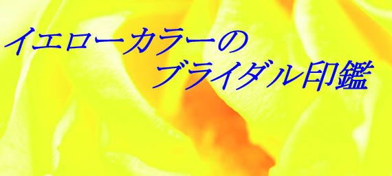 CG[J[̃uC_